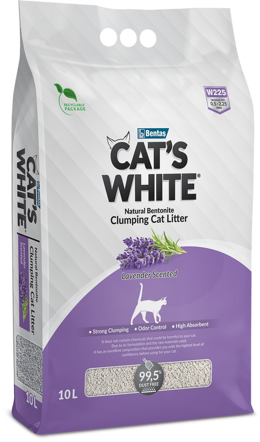 CAT'S WHITE Lavender