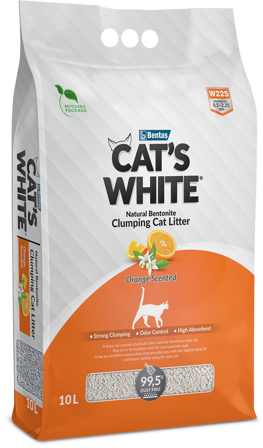 CAT'S WHITE Orange